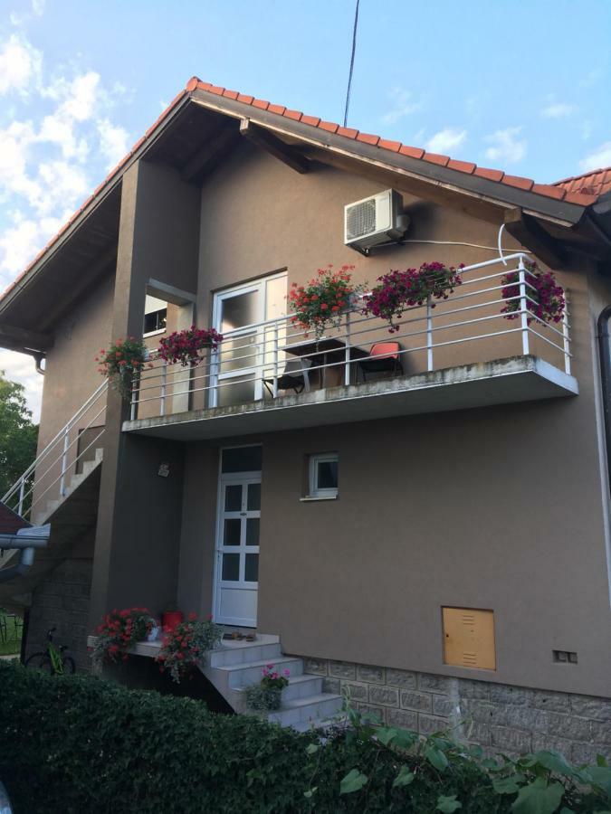 Guest House Ruza Tenja 외부 사진